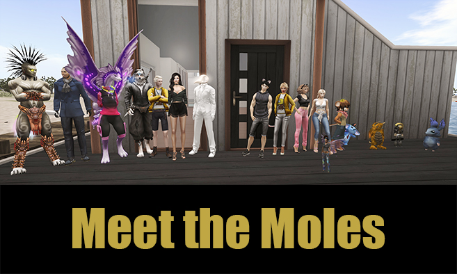 Meet the Moles!